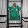 Mexico 2026 World Cup