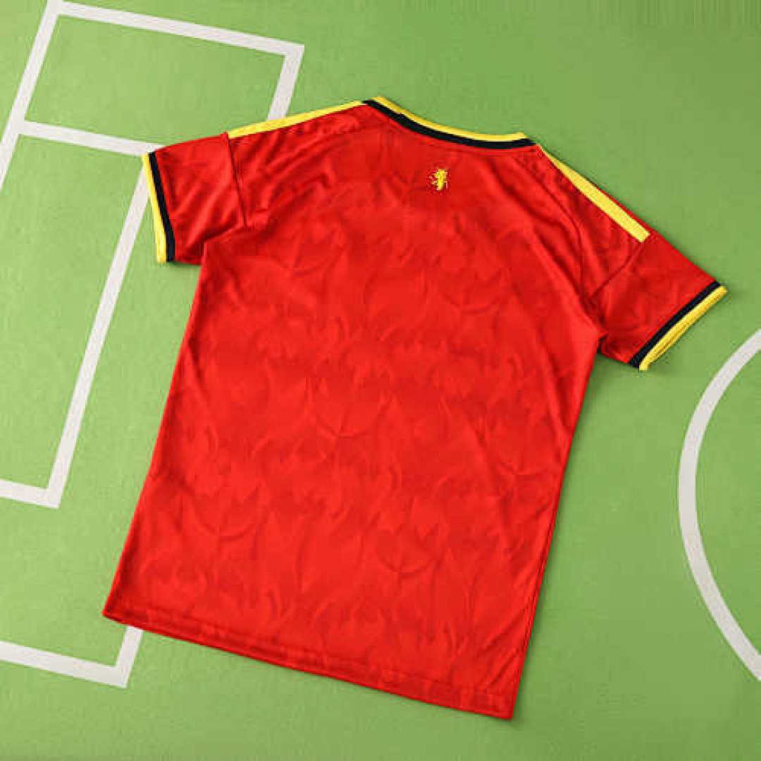 2026 FIFA World Cup Belgium home