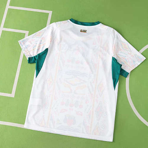 2026 FIFA World Cup Senegal home