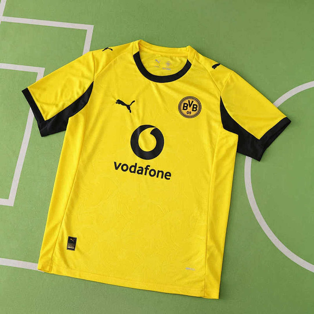 2526 season Borussia Dortmund Training shirt