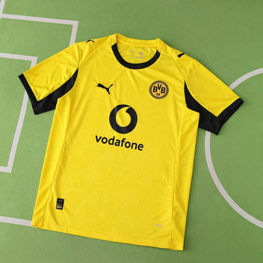 2526 season Borussia Dortmund Training shirt