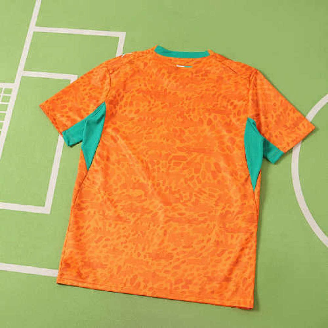 2627 Ivory Coast home