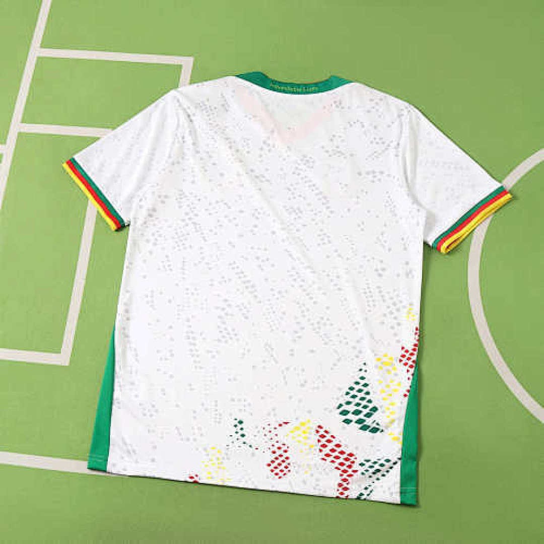 2026 The Republic of Cameroon white